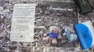 Dnes si si připomínáme Mezinárodní den pohřešovaných dětí