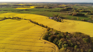 Je potřeba budovat remízky - říká Hněvotín