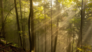 Sobota bude převážně polojasná, bez deště