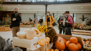 Podzimní Flora Olomouc se odehraje v říši ovoce a zeleniny