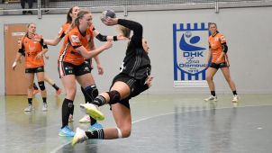 Program sportovních akcí na Olomoucku