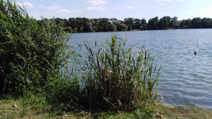 Rady a doporučení pro letní prázdniny