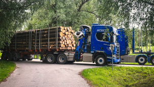 Státní lesy dodají dřevo zaplaveným domácnostem