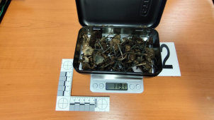 Fenka Dona vyčenichala zásilku lysohlávek