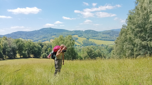 Botanici objevili v Jeseníkách 450 druhů rostlin