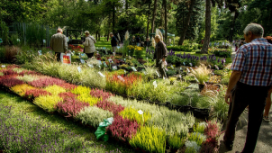 Olomouc opět ožila Florou