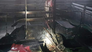 Hasiči při požáru ve Velkém Týnci zachránili téměř 400 prasat