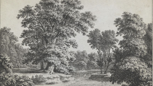 Olomoucké Muzeum připravilo novou expozici