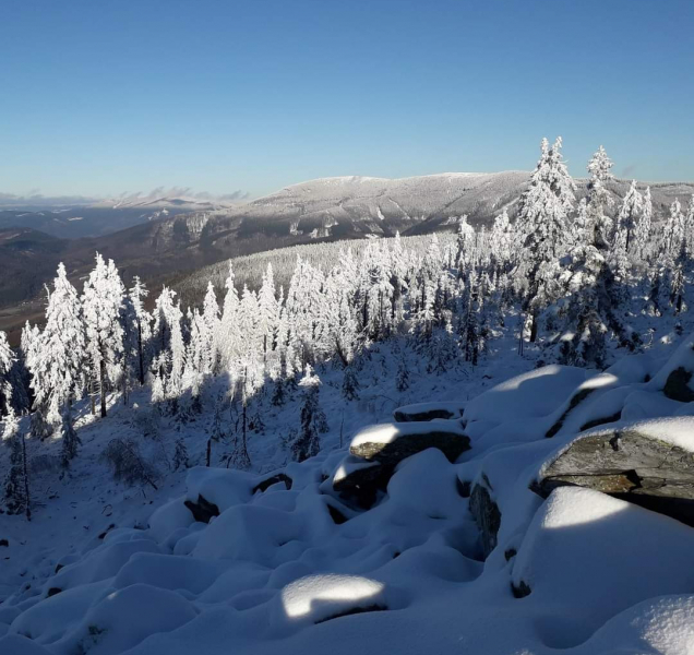 Máte fotky ze silvestrovské či novoroční procházky? Podělte se!