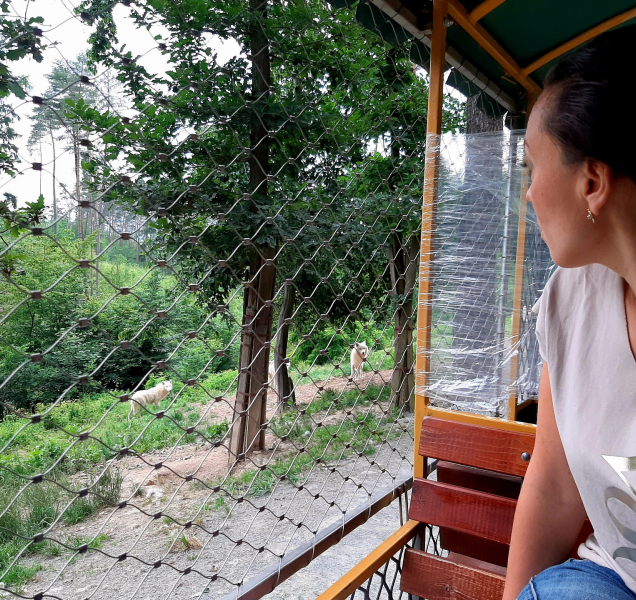 Zoo Olomouc loni navštívilo 293 457 návštěvníků