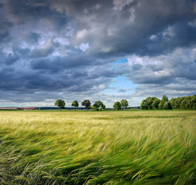 Výhled počasí na příští dny? Postupně se bude oteplovat