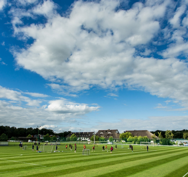 Sigma už má plán přípravy na novou sezonu
