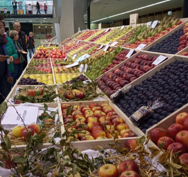 Podzimní Flora klepe na dveře! Co nabídne?