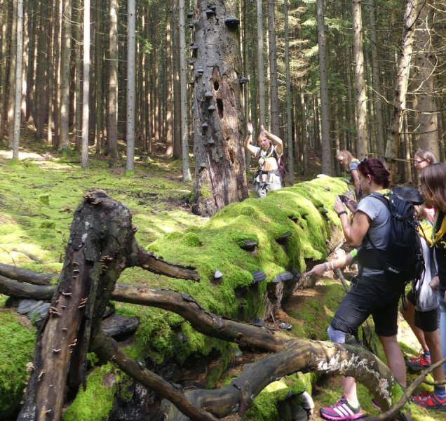 Na životní prostředí půjdou milióny