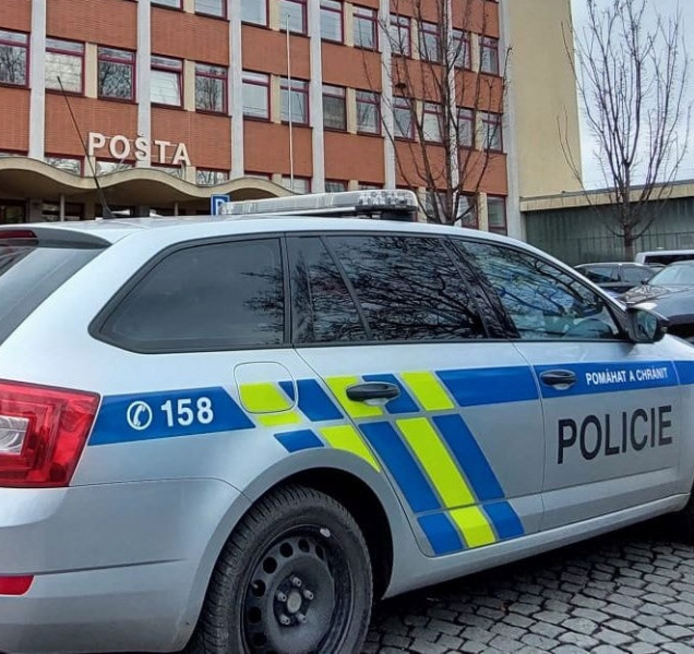 Za neoprávněný chov kočky hrozí muži až dva roky