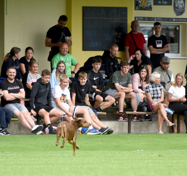Program sportovních akcí na Olomoucku