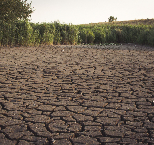 Města začínají vydávat zákazy odběru povrchové vody