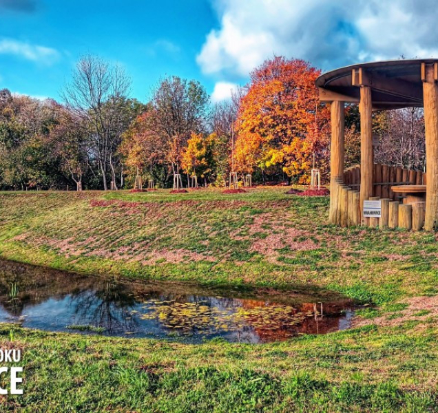 Lidé z Prostějova navrhli radnici, co má postavit či opravit