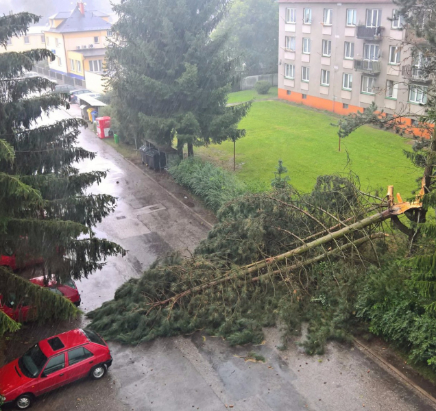 Pozor na parkování pod stromy, varují po bouři odborníci