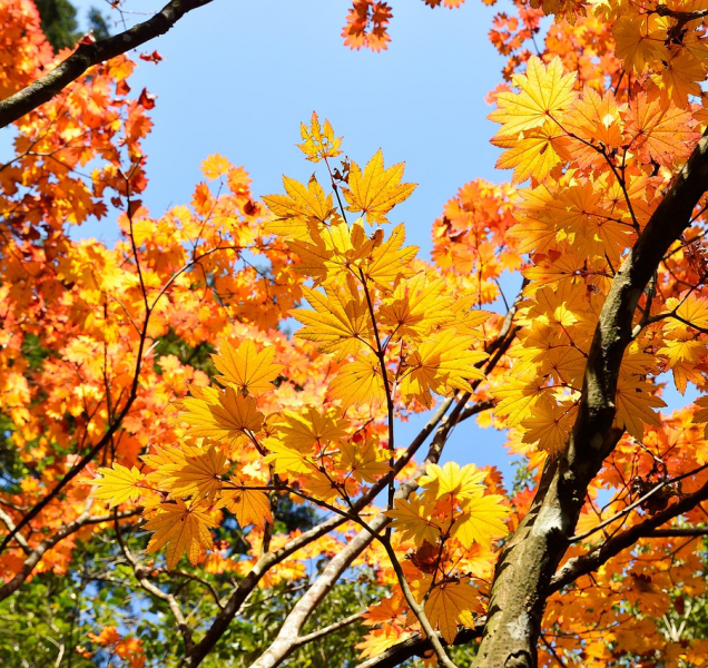 I dnes se rtuť teploměru mrkne až na dvacítku