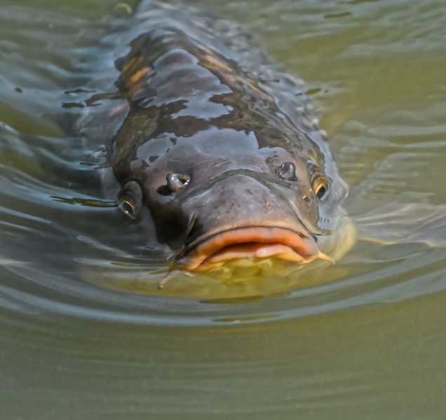Máme pro vás pár tipů, kam zajít o víkendu