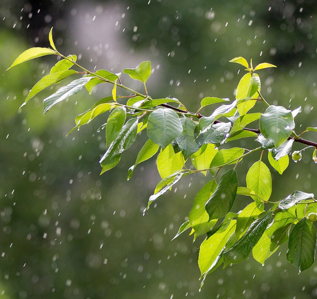 Budou osmnáctky, ale dávejte pozor na silný vítr!