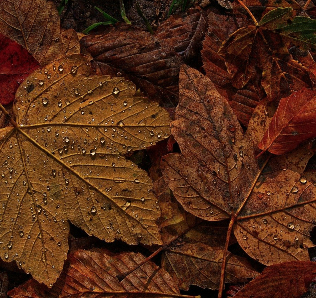 Rtuť teploměru během neděle v kraji vyšplhá i k šestnáctce